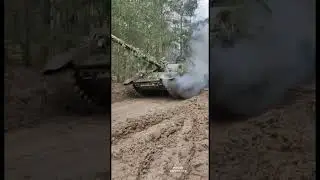 Словенский танк M 55S