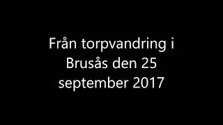 Torpvandring i Brusås, Hånger den 25 september 2017