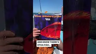 THIS RECORD COMES WITH A FISH!