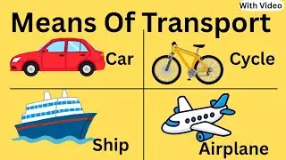 Means Of Transport | Mode Of Transport In English | Types Of Vehicles | 50 Vehicle Names 