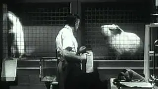 Nightmares in Red, White and Blue - Atomic Age Monsters
