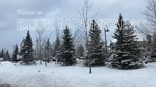 Ontario Cottage Getaway | Blue Mountain Winter ASMR 🌨️❄️ Relaxing Nature Sounds 4k high resolution