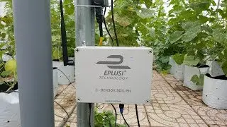 Eplusi - Hệ thống n&ocirc;ng nghiệp th&ocirc;ng minh ứng dụng c&ocirc;ng nghệ IoT