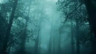 the trees will breathe with me
