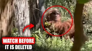 1 Hour Of The Most TERRIFYING Bigfoot Encounters Caught On Camera