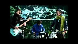 Hund Am Strand - Neues Lied