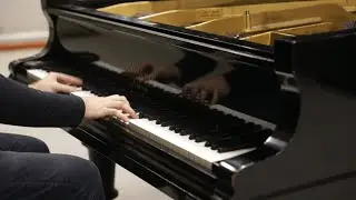 Boogie Woogie on my Bl&uuml;thner