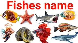 Fishes name || मछलियों के नाम || 20 fishes name in english and hindi with pictures ||