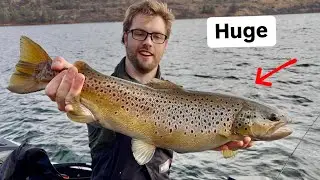 Absolutely stunning Hen (Fall Fishing)