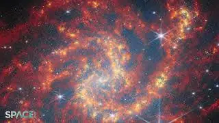 James Webb Space Telescope captures stunning view of spiral galaxy NGC 2283