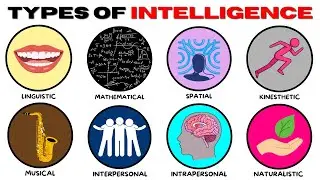 Every Type of Human Intelligence Explained in 14 Minutes