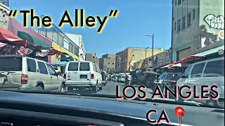 LOS ANGLES CA 📍 &ldquo;The alley&rdquo; | Puppy Store