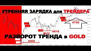 АКТУАЛЬНЫЙ ТРЕНД РЫНКА (РАЗБОР СДЕЛОК) 3.02.2026г