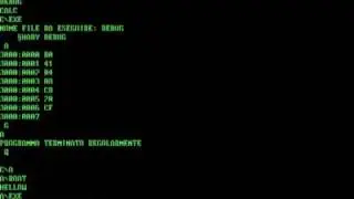 GreenOS on VMWARE