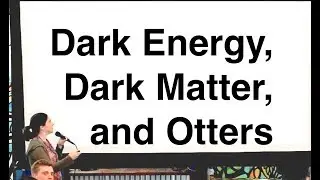 Dark Energy, Dark Matter, and Otters &ndash;&nbsp;Prof. Sarah Tuttle (UW)