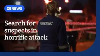 Search for suspects after 12yo and 15yo stabbed to death | ABC NEWS