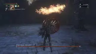 Best gem setup for logarius wheel and test damage