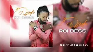 ROI DESS - I Diodo ( audio officiel )
