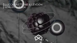 Lucca Saettone & LEYDON - Nobody like you