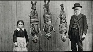 200+ SHOCKING Historical PHOTOS That History Itself Tried to Forget! 🚫📸