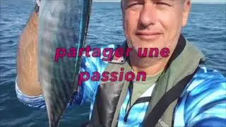 Les prises s'enchainent à la balancelle , Port Saint Louis du Rhône.