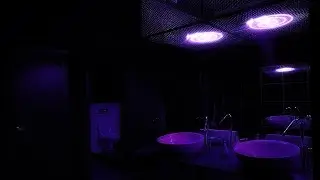 It's 3AM, and your neighbor puts on good music, Chill :)