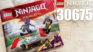 ПОСЛЕДНИЙ полибэг LEGO Ninjago 30675