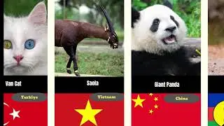 20 Animals from Different Countries &ndash; Guess the Continent!