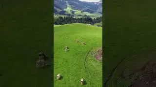 🏔️ Ch&acirc;teau-d&rsquo;&OElig;x Switzerland | Stunning Drone Tour 2025