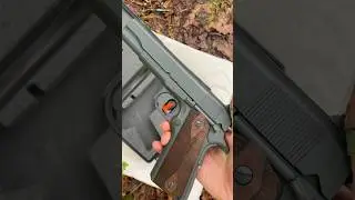 $300 Tisas 1911 Review #gunreview #shorts