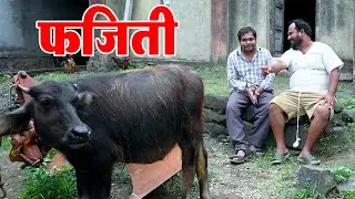 बंड्याची आज अशी फजिती झाली 😂 विनोदी कथा | भाग 104 | आदर्श मराठी