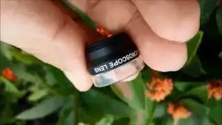 Демонстрационное видео: 20-кратный супермакрообъектив для смартфонов Samsung Galaxy/iPhone и других смартфонов