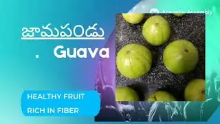 rich in fiber fruit guava