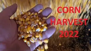 Eastern Kansas Corn Harvest 2022- Woodbury Farms