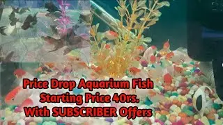 Unboxing New Fish Limited Stock 40Rs. Starting Price  @DhaniLif @FishCareRewa