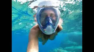 snorkeling tours Sicily west coast near Palermo!