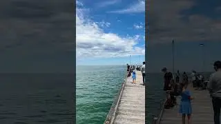 Mordialloc beach #music #song #singersongwriter #automobile #lifeisbutadream #love #train