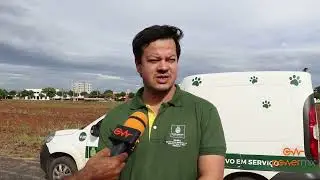Mulher &eacute; flagrada descartando animal morto em terreno baldio em Nova Mutum/MT