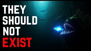 The Deeper Scientists Look Into the Ocean, the Less Familiar Life Becomes