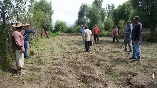 Agua Cristalina Volverá a Fluir 💧🌿 ¡Rescataran Manantiales Olvidados en Uranden!