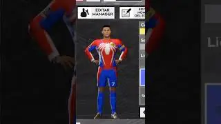 Kit de Spiderman Dls 22