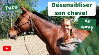 D&eacute;sensibiliser son cheval au spray