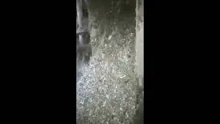 Fiber Free Reject of Parason Combo Screen