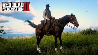 【RDR2】ブレイスウェイト家のトルコマン黒鹿毛を手に入れる方法【レッドデッドリデンプション2】