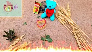 Matches burn next to a lovely kind bear.#fire #matchbox #viralvideo #funnyvideo #love
