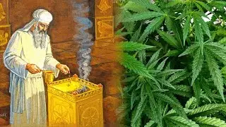 Marijuana In The Bible: Kanehbosm, Sweet Cane & The Holy Anointing Oil!