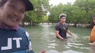 San Narciso Quezon Rides