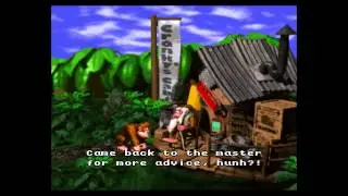 Donkey Kong Country Challenge: Part 1 (Too cool for school!)