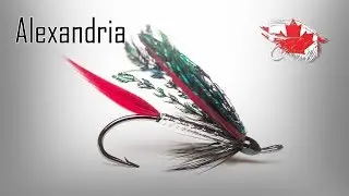 Friday Night Flies - Alexandria 