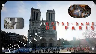 Notre-Dame : mille ans de secrets sous ses pierres